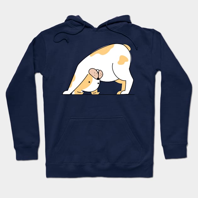 Yoga Downward Dog Pose Hoodie by InkyArt